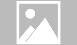 食材漫画,趣味盎然的食材故事