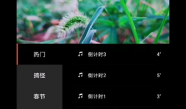 自己做短视频教程,轻松掌握制作热门短视频的秘诀